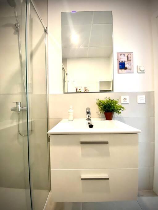 Apartamento Mychoice Diana Rota Exterior foto
